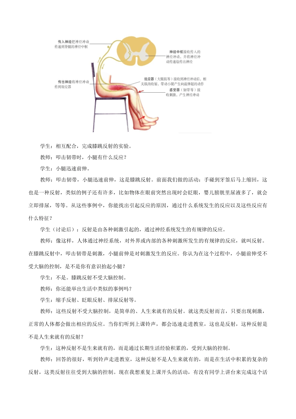 八年级生物上册 6.16.1人体的神经调节（第2课时）教案 （新版）苏科版-（新版）苏科版初中八年级上册生物教案_第2页