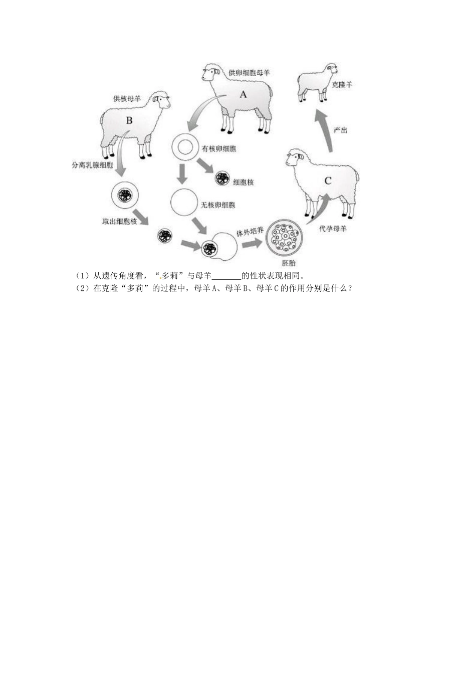江苏省东台市唐洋镇中学八年级生物上册《21.1 现代生物技术的应用》学案（无答案） 苏教版_第2页
