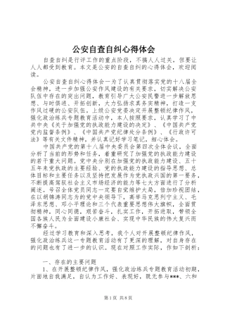 公安自查自纠心得体会