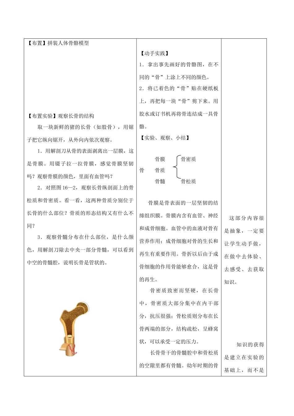 八年级生物上册 6.17.1《人体的运动》第1课时教案 （新版）苏科版-（新版）苏科版初中八年级上册生物教案_第2页