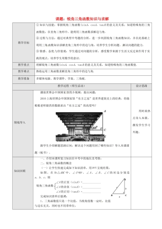 江西省会昌实验学校九年级数学总复习 锐角三角函数知识与求解教案 人教新课标版