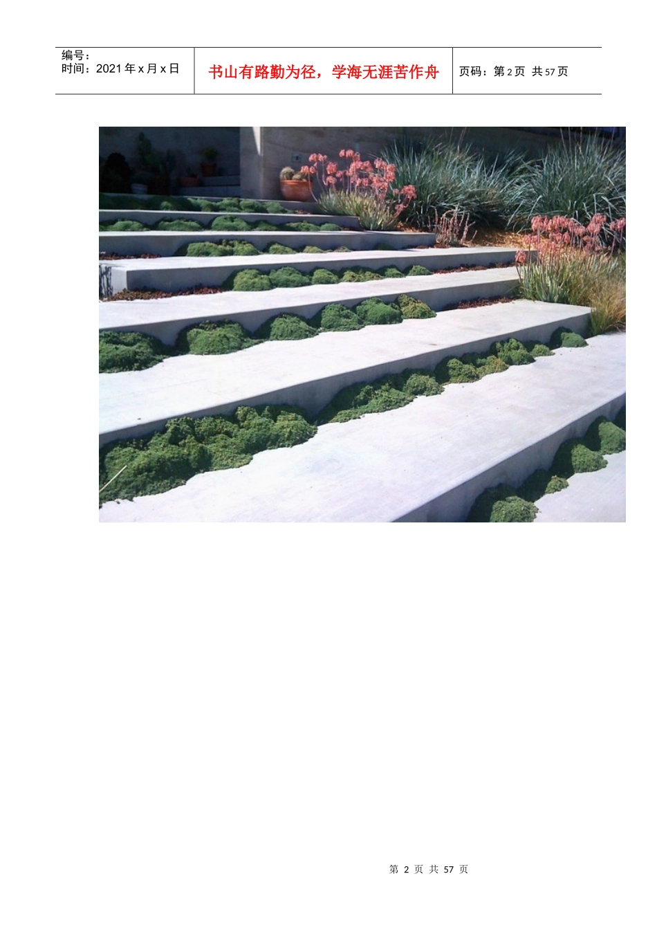 别墅庭院景观集锦——台阶_第2页