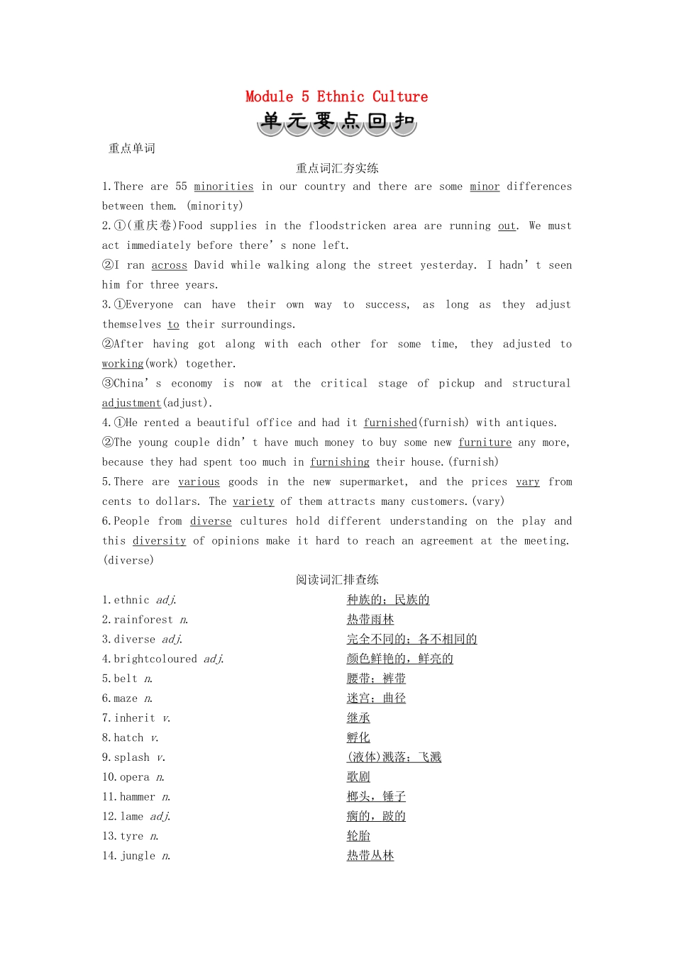 高中英语 Module 5 Ethnic Culture 单元要点回扣教案 外研版选修7-外研版高二选修7英语教案_第1页