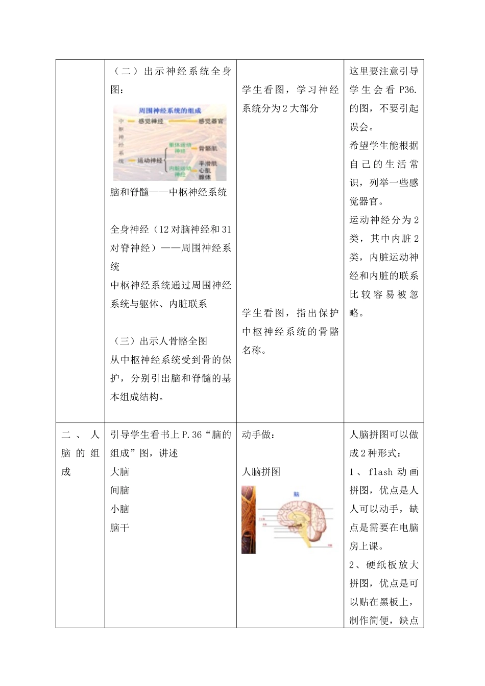 八年级生物上册 第2章 人体生命活动的调节 第1节 神经调节（第1课时）同步教案 沪教版-沪教版初中八年级上册生物教案_第3页