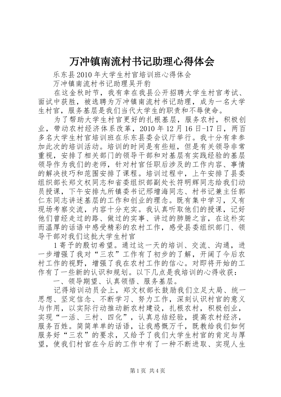 万冲镇南流村书记助理心得体会_第1页