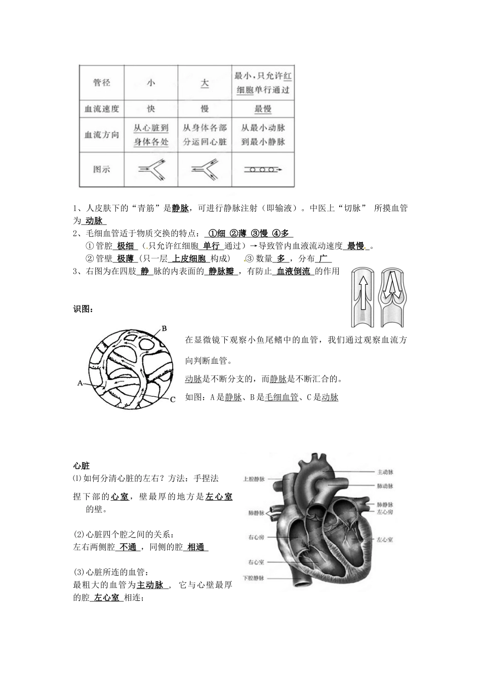 湖南省株洲市天元区马家河中学七年级生物下册《人体内物质的运输》教案 新人教版_第2页