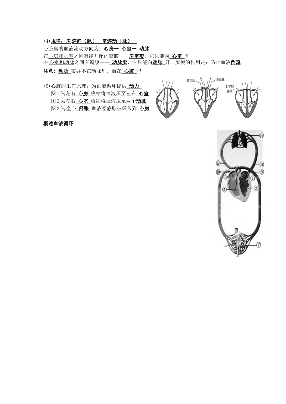 湖南省株洲市天元区马家河中学七年级生物下册《人体内物质的运输》教案 新人教版_第3页
