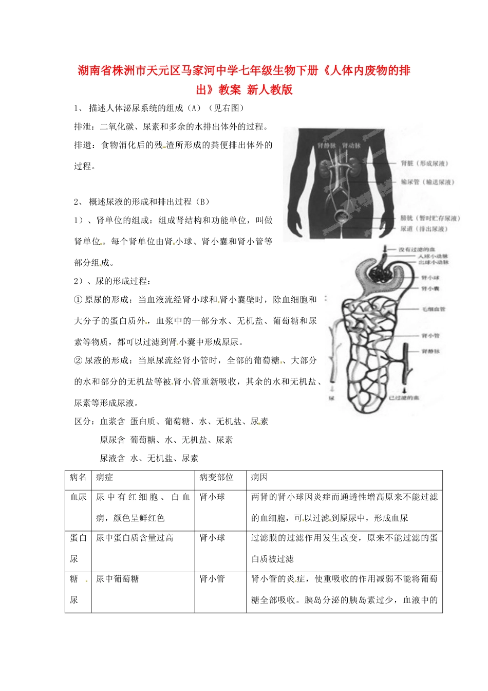 湖南省株洲市天元区马家河中学七年级生物下册《人体内废物的排出》教案 新人教版_第1页