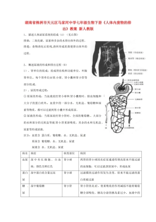 湖南省株洲市天元区马家河中学七年级生物下册《人体内废物的排出》教案 新人教版