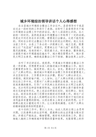 城乡环境综治领导讲话个人心得感想