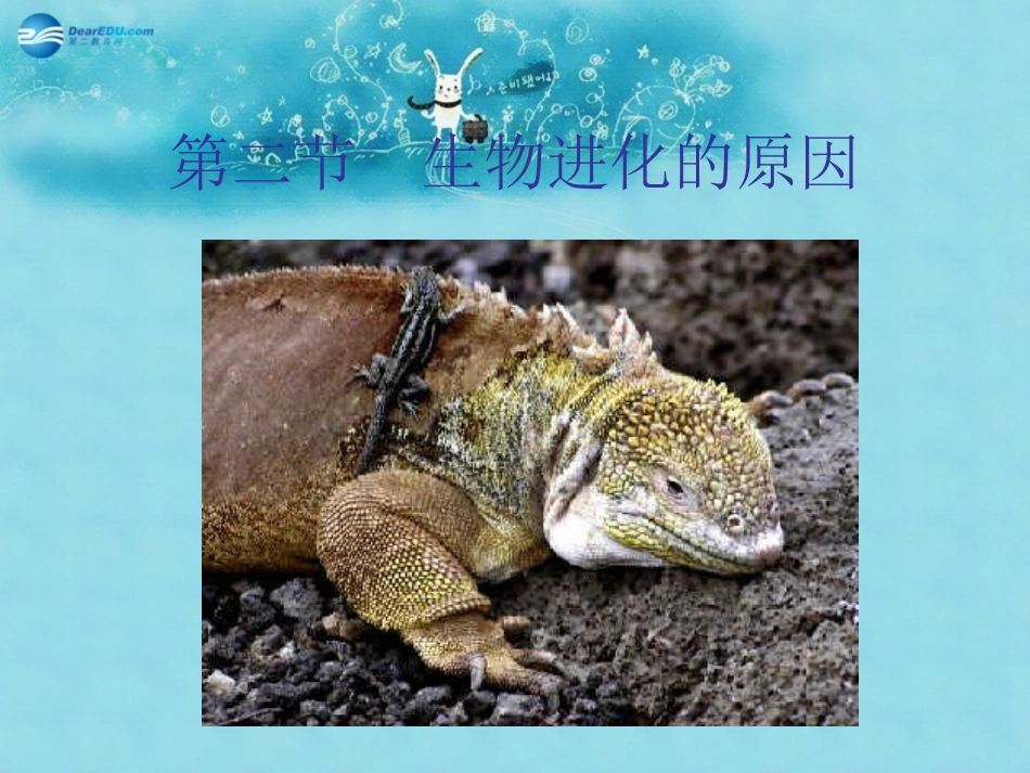 江苏省太仓市第二中学八年级生物下册 22.3 生物进化的原因课件4 苏科版_第1页