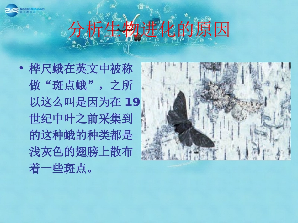 江苏省太仓市第二中学八年级生物下册 22.3 生物进化的原因课件4 苏科版_第3页