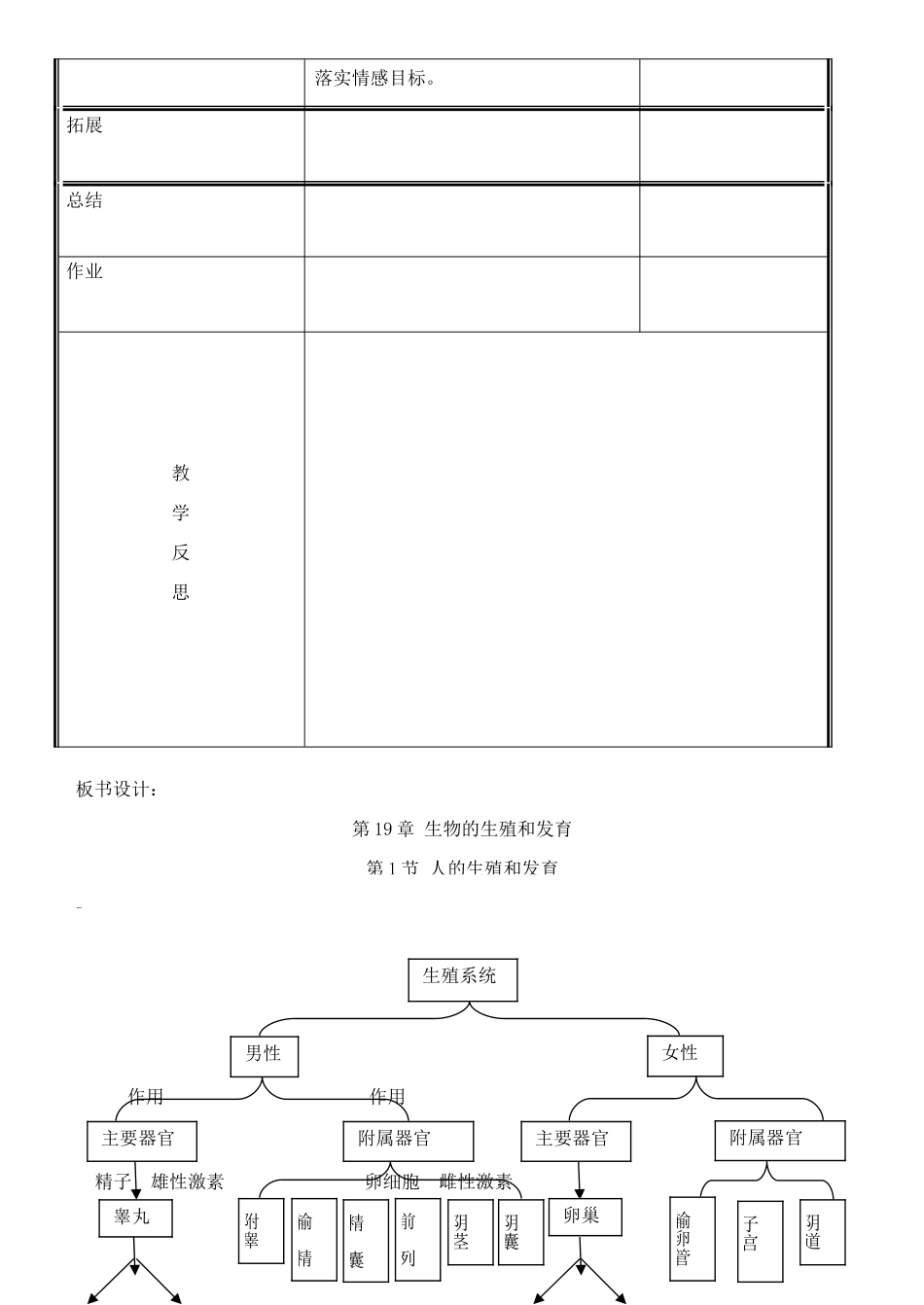 八年级生物上册 第19章 第1节 人的生殖和发育（1）人的生殖系统、新生命的孕育教案 北师大版-北师大版初中八年级上册生物教案_第3页