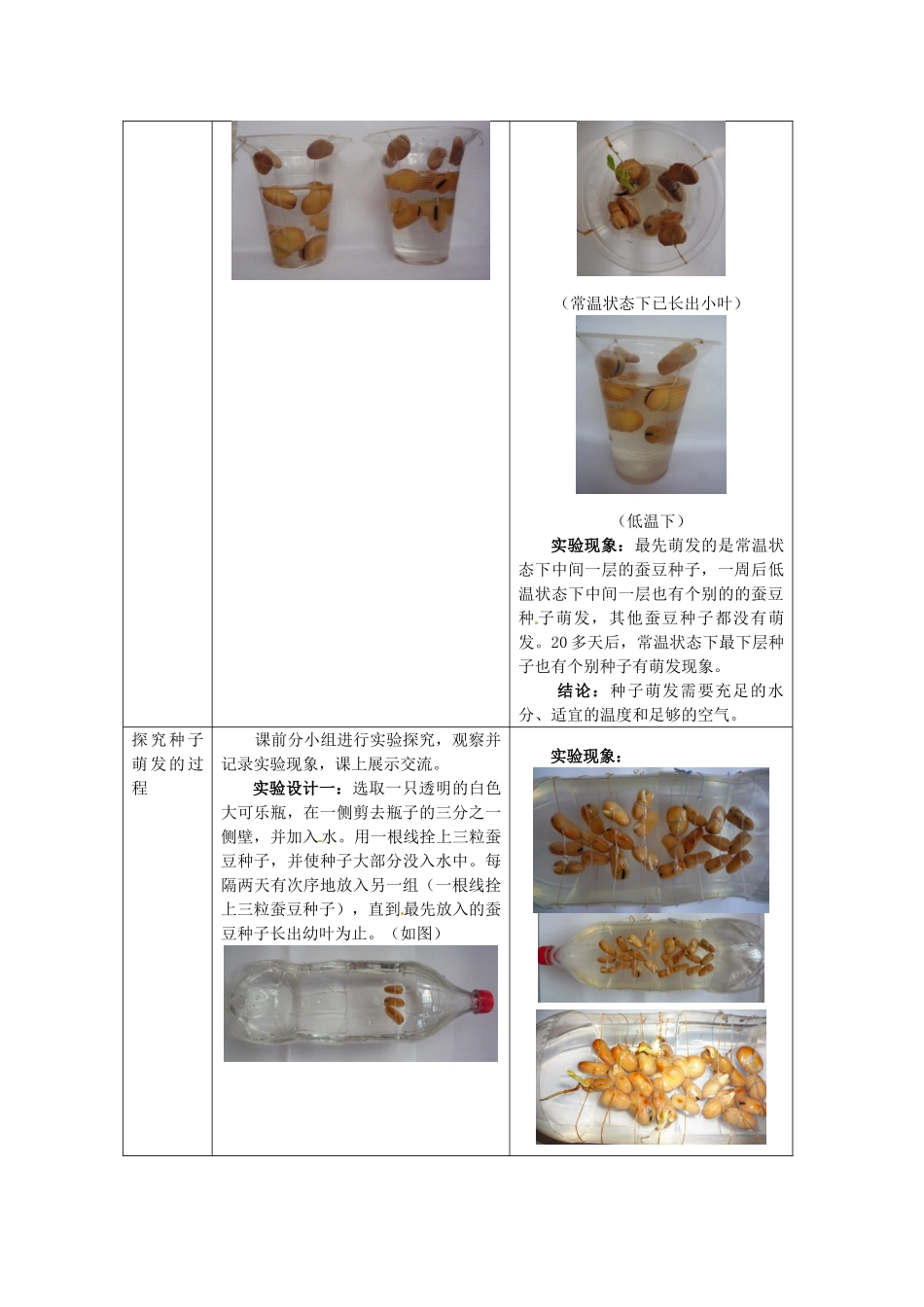 江西省信丰县黄泥中学中考生物实验汇总复习 种子的萌发教学设计_第3页