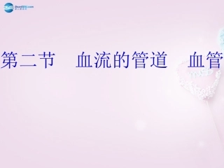 湖南省长沙市长郡芙蓉中学七年级生物下册《4.4.2 血流的管道—血管》课件 新人教版