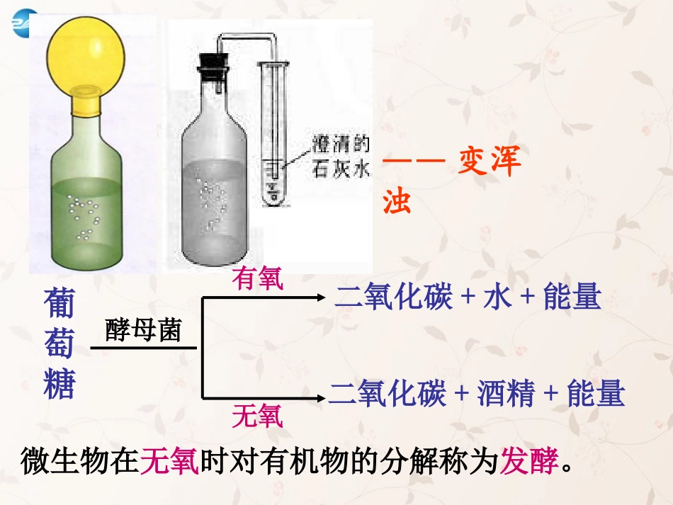 八年级生物上册 5.4.5 人类对细菌和真菌的利用课件2 （新版）新人教版_第3页
