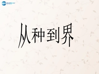 八年级生物上册 6.1.2 从种到界课件3 （新版）新人教版