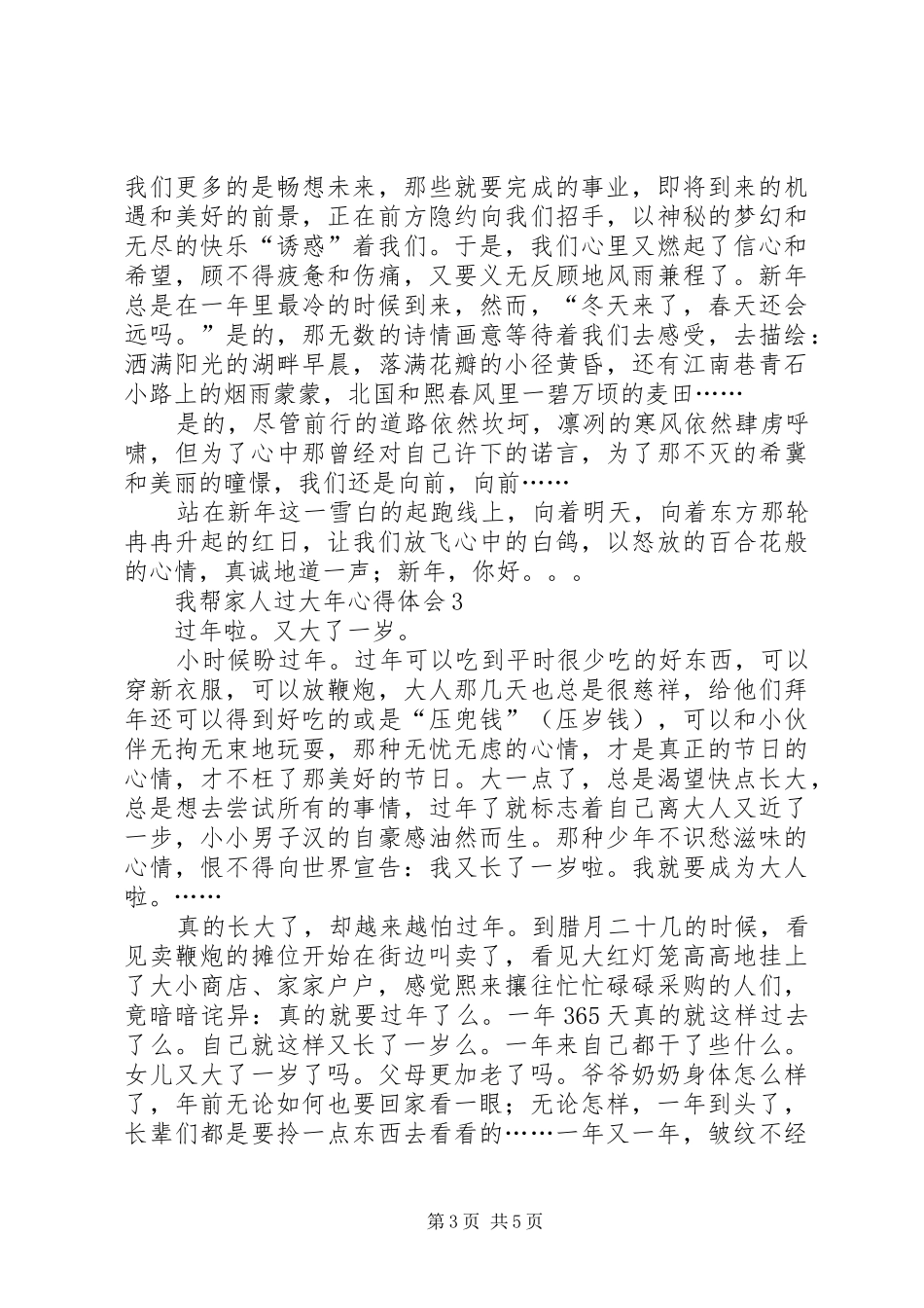 我帮家人过大年心得体会_第3页