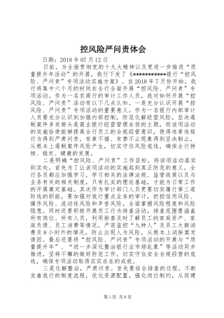 控风险严问责体会