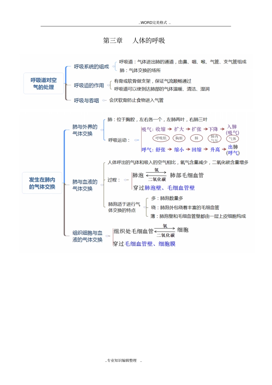 人版七年级生物(下册)考点[思维导图版]_第3页