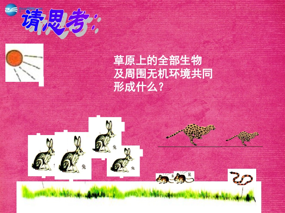 八年级生物上册 5.4.4 细菌和真菌在自然界中的作用课件4 （新版）新人教版_第2页