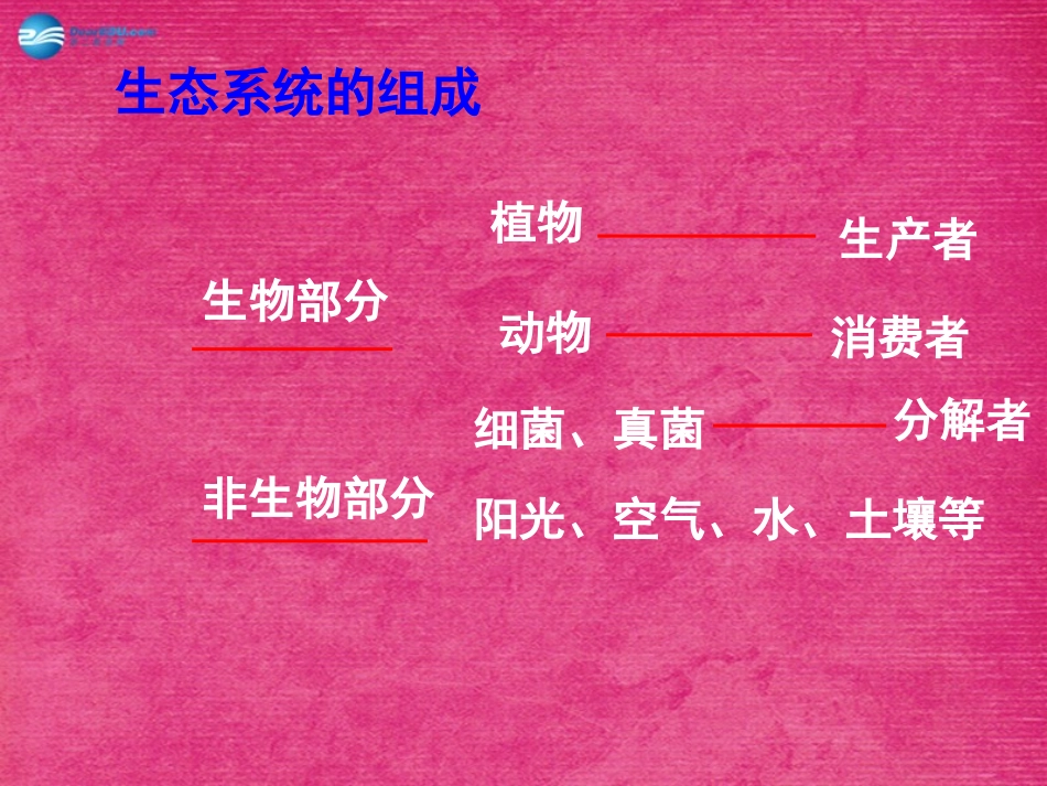 八年级生物上册 5.4.4 细菌和真菌在自然界中的作用课件4 （新版）新人教版_第3页