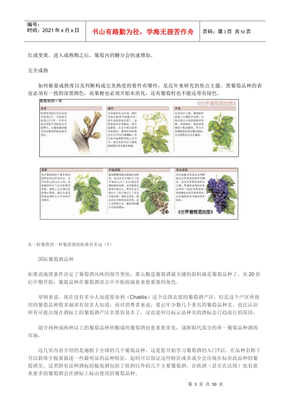 世界葡萄酒地图_第3页