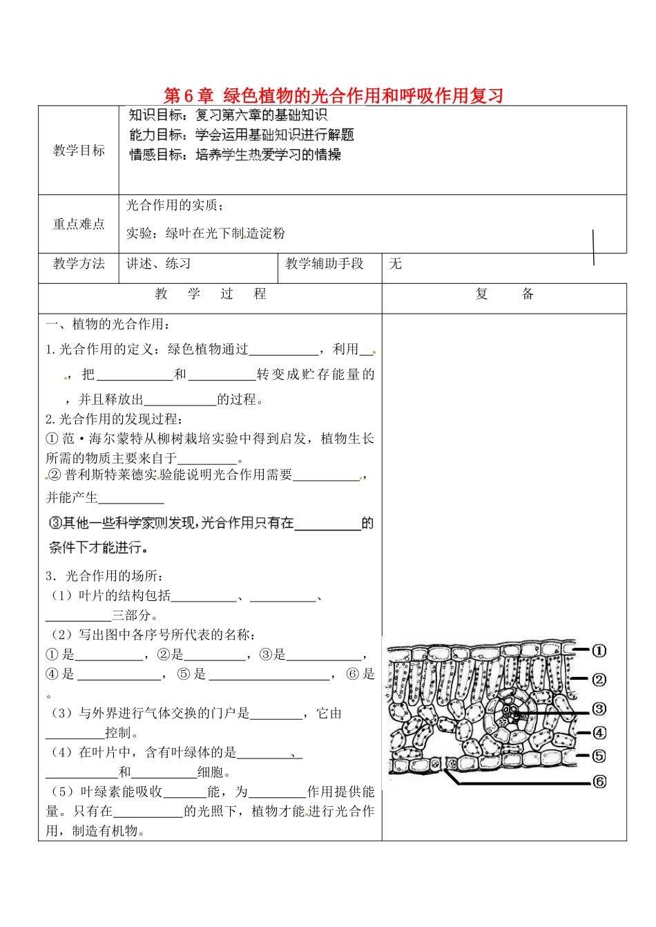 江苏省南京市上元中学七年级生物上册 第6章 绿色植物的光合作用和呼吸作用复习教案1 苏教版_第1页