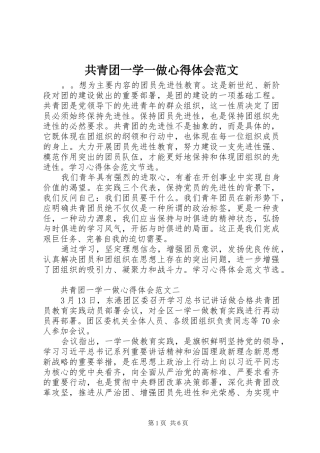 共青团一学一做心得体会范文