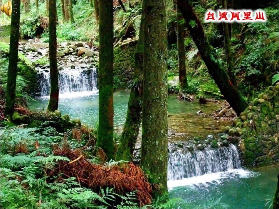 八年级地理下册 第六章 第三节《祖国的神圣领土—台湾省》课件 新人教版_第1页