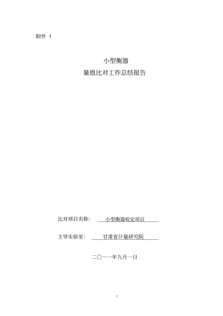 小型衡器量值比对工作总结报告