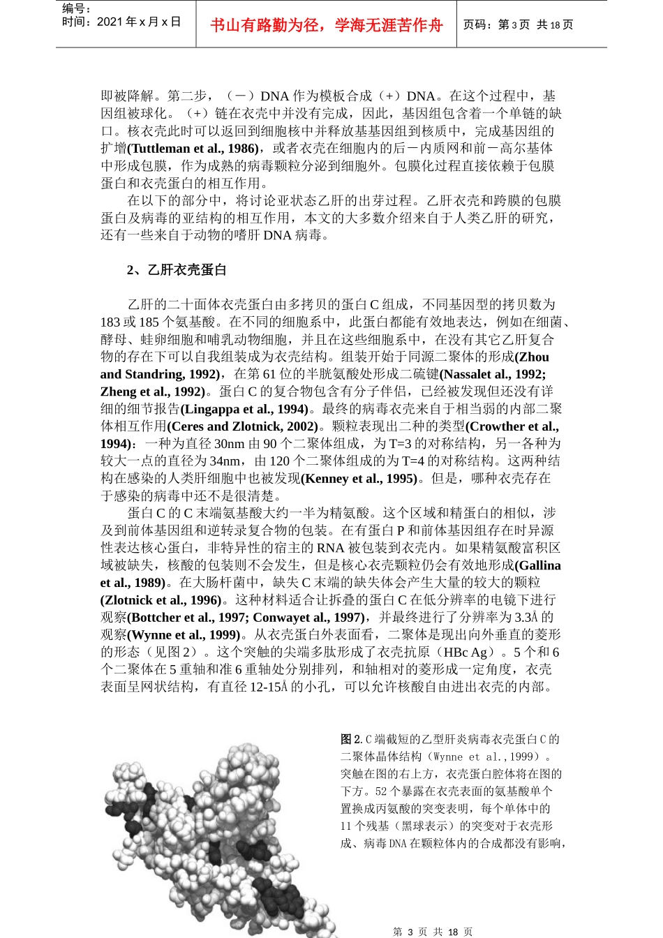 乙型肝火病毒粒子的包装过程_第3页