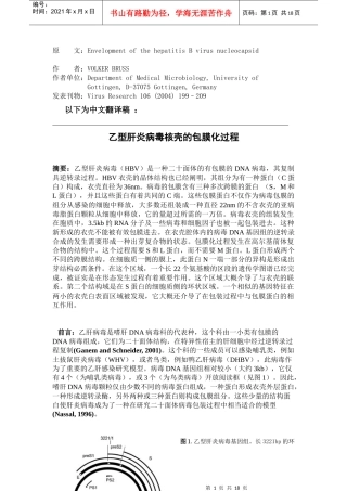 乙型肝火病毒粒子的包装过程