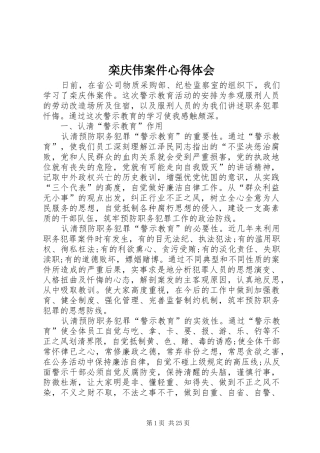 栾庆伟案件心得体会