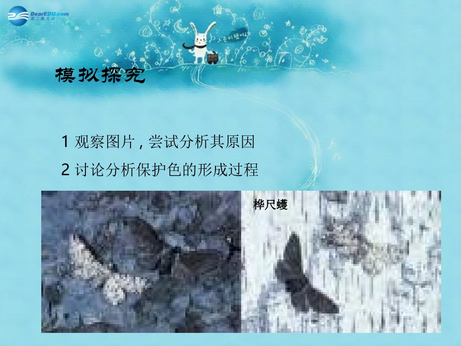 江苏省太仓市第二中学八年级生物下册 22.3 生物进化的原因课件7 苏科版_第2页
