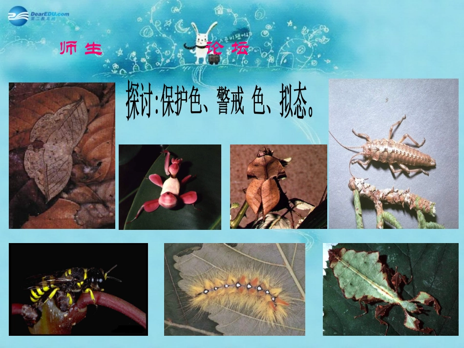 江苏省太仓市第二中学八年级生物下册 22.3 生物进化的原因课件7 苏科版_第3页