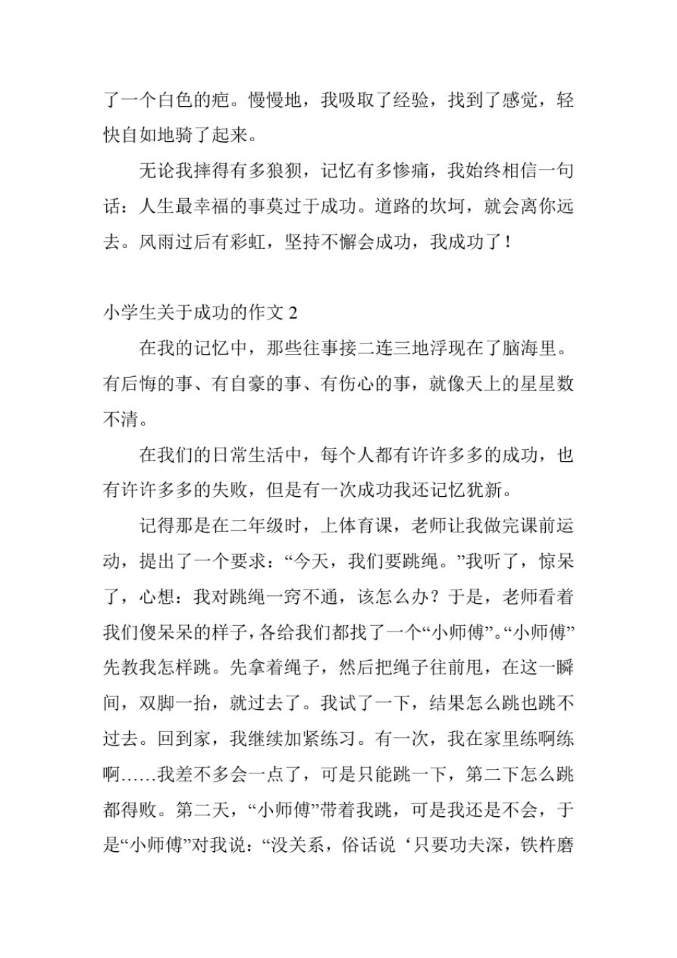 小学生关于成功的作文6篇_第2页