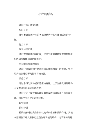 叶片的结构_2