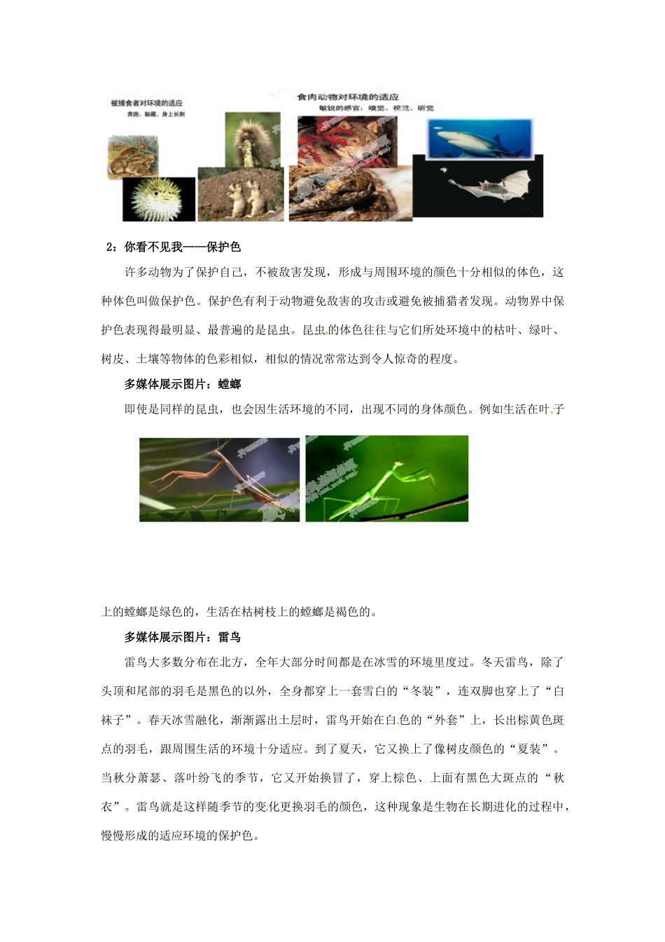 江苏省扬中市外国语中学七年级生物上册 第二章 第四节《对环境的适应》教案 苏教版_第2页