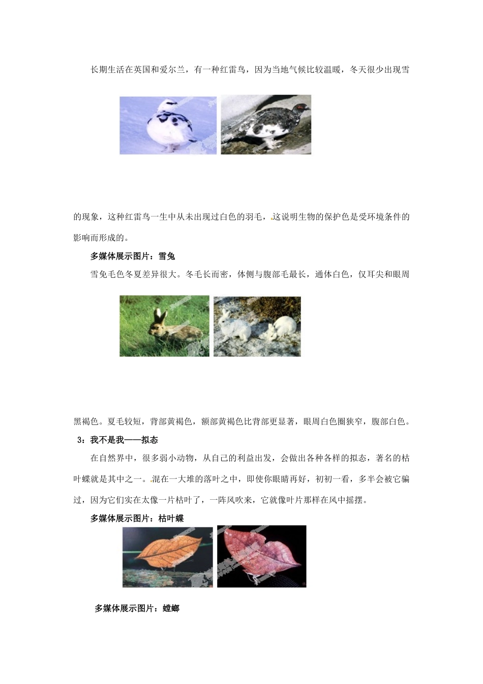 江苏省扬中市外国语中学七年级生物上册 第二章 第四节《对环境的适应》教案 苏教版_第3页