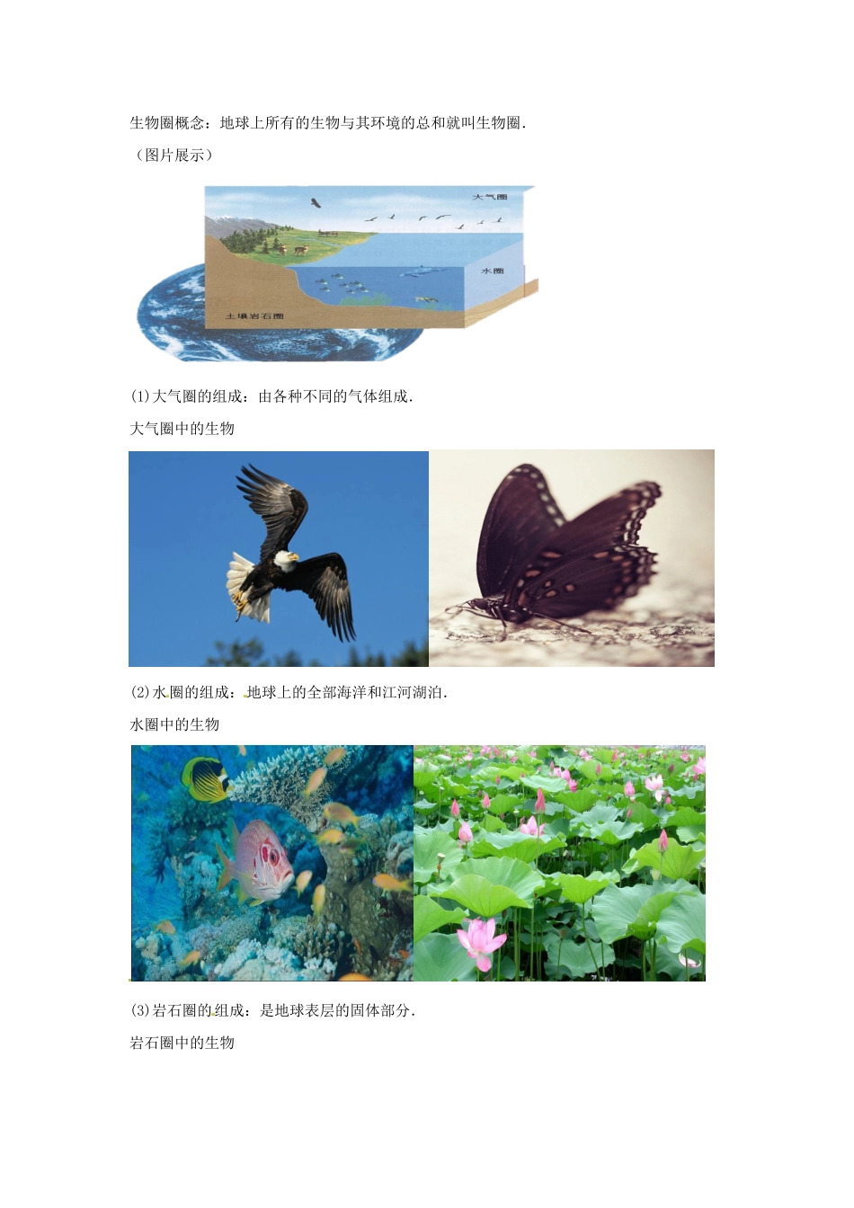 八年级生物下册 7.2.3生物圈教学设计 （新版）冀教版-（新版）冀教版初中八年级下册生物教案_第2页