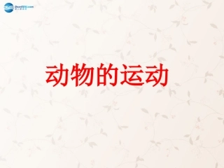 八年级生物上册 5.2.1 动物的运动课件2 （新版）新人教版