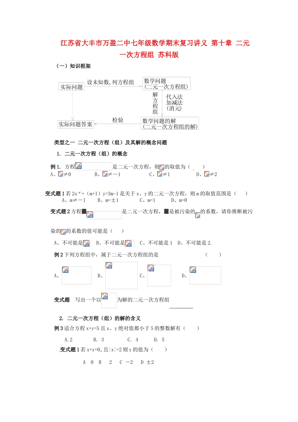 江苏省大丰市万盈二中七年级数学期末复习讲义 第十章 二元一次方程组 苏科版_第1页