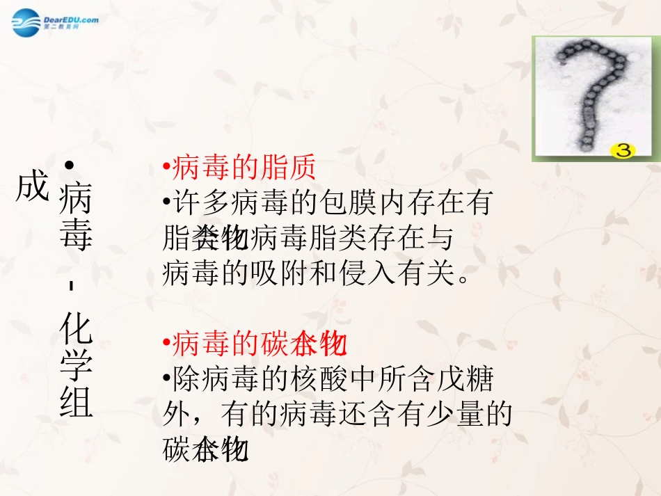 八年级生物上册 5.5 病毒课件4 （新版）新人教版_第3页