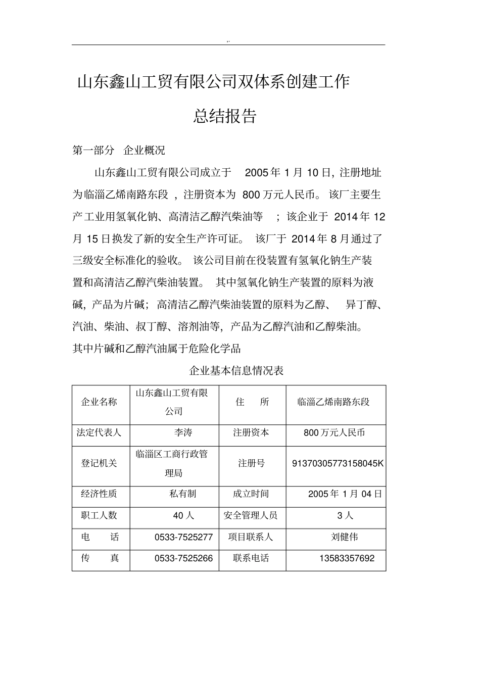 山东鑫山工贸有限企业双体系建设情况总结报告_第2页