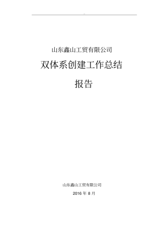 山东鑫山工贸有限企业双体系建设情况总结报告
