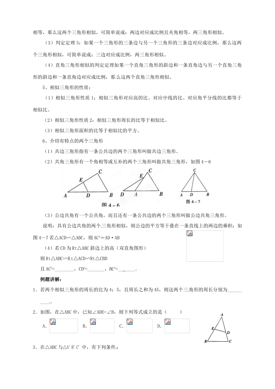 江苏省宿迁市宿豫区陆集初级中学中考数学 第19讲 相似三角形复习讲义 苏科版_第2页