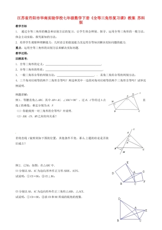 江苏省丹阳市华南实验学校七年级数学下册《全等三角形复习课》教案 苏科版