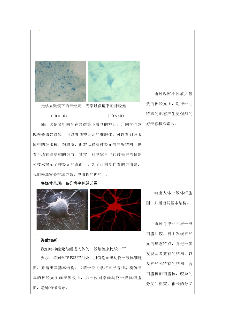 江苏省无锡市大桥实验学校八年级生物上册 16.1 人体的神经调节教学设计 （新版）苏科版_第3页