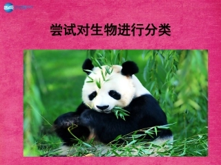 八年级生物上册 6.1.1 尝试对生物进行分类课件2 （新版）新人教版